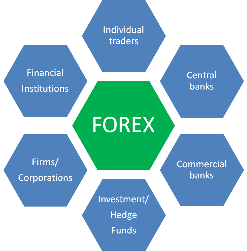 Forex market participants